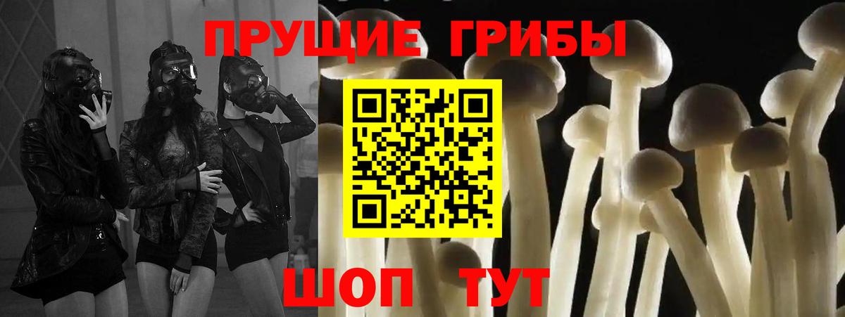 цены наркотик  Вход с VPN  Каменск-Уральский  Псилоцибиновые грибы прущие грибы 